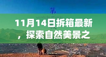 11月14日最新拆箱體驗，自然美景之旅，尋找內心的寧靜與喜悅