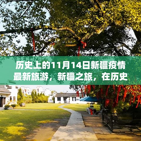 歷史的11月14日，新疆疫情最新旅游動(dòng)態(tài)與心靈之旅的寧靜與奇跡探尋