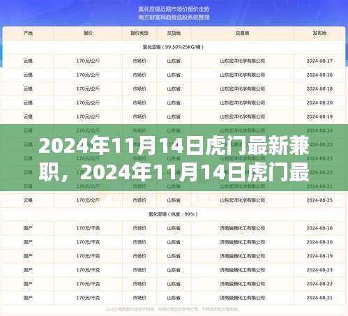 2024年11月14日虎門(mén)最新兼職，機(jī)遇與挑戰(zhàn)并存