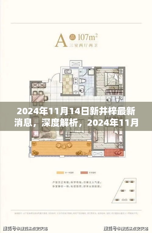 深度解析，2024年11月14日新井梓產(chǎn)品最新消息揭秘，特性、用戶體驗(yàn)與目標(biāo)用戶群體探討