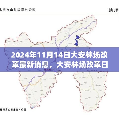 大安林場改革故事會，最新消息與溫馨改革之旅（2024年11月14日）