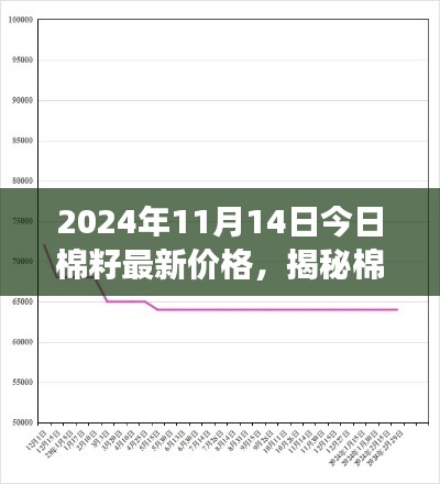 揭秘棉籽市場(chǎng)走勢(shì)，最新價(jià)格動(dòng)態(tài)分析與預(yù)測(cè)（2024年11月14日）