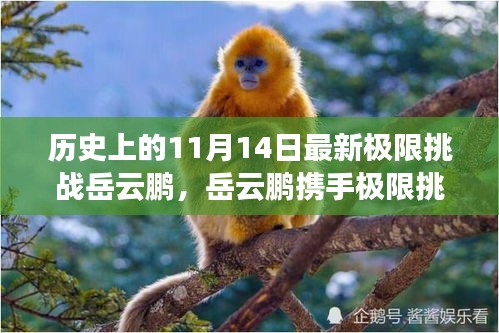 岳云鵬揭秘科技新紀元，極限挑戰(zhàn)攜手超燃高科技產品震撼登場（11月14日）