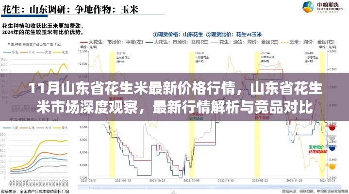 11月山東省花生米最新價格行情，山東省花生米市場深度觀察，最新行情解析與競品對比