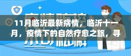 臨沂十一月疫情下的自然療愈之旅，尋找內(nèi)心的寧靜港灣