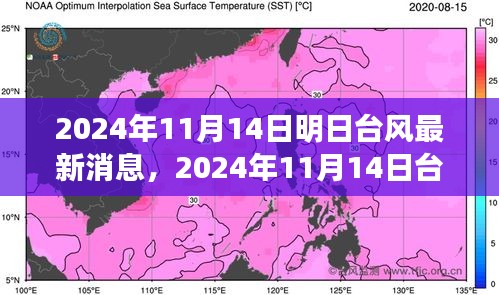 臺風(fēng)最新消息深度評測，特性、體驗、競品對比與用戶分析（2024年臺風(fēng)動態(tài)）