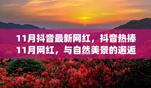 抖音熱捧的11月網(wǎng)紅，與自然美景的邂逅與內(nèi)心寧靜之旅