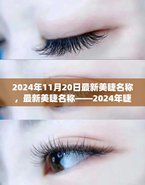 最新美睫名稱揭秘，2024年睫毛美學(xué)的革命性變革