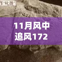 揭秘，風(fēng)中追風(fēng)最新裝備的時代地位與影響，逐風(fēng)而行，價值高達172萬裝備重磅登場！