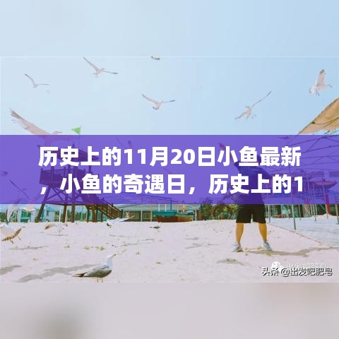 歷史上的11月20日，小魚奇遇日的溫馨小事回顧