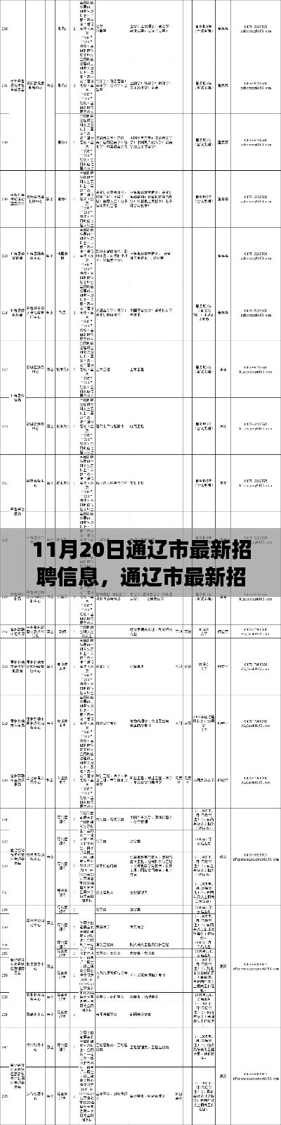 通遼市最新招聘信息概覽，職場(chǎng)人的福音（11月20日更新）