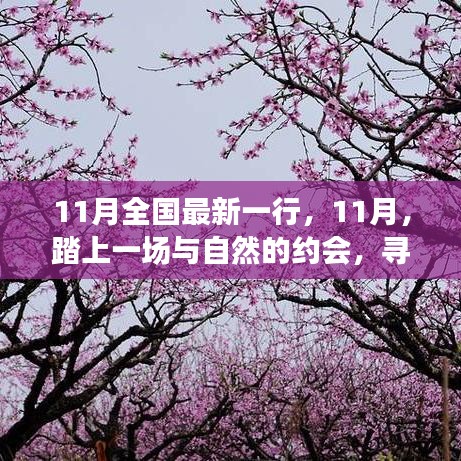 11月踏自然之旅，內(nèi)心的桃花源探尋記