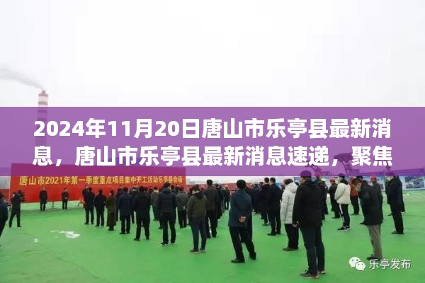 聚焦唐山市樂亭縣發(fā)展動態(tài)，最新消息速遞（2024年11月20日版）