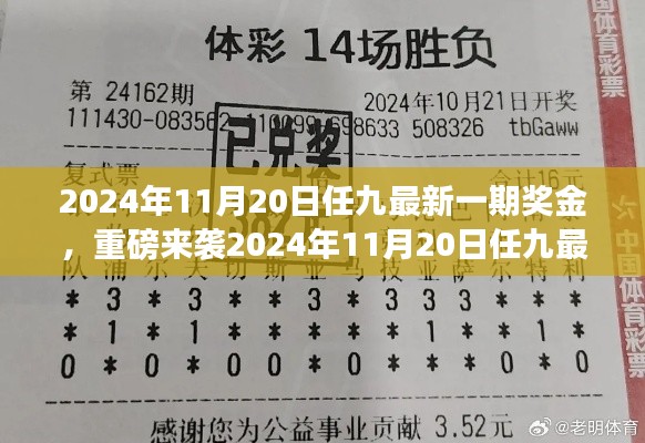 揭秘2024年11月20日任九最新一期獎金揭曉，財(cái)富密碼大解密！