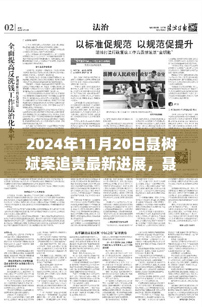 聶樹斌案追責(zé)最新進(jìn)展深度解析，2024年11月20日追責(zé)進(jìn)展及評(píng)測(cè)