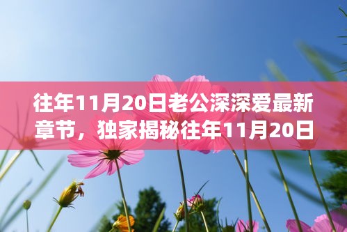 往年11月20日老公深情與高科技融合，全新智能伴侶揭秘，顛覆想象！