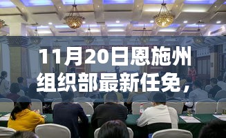 恩施州組織部最新任免動態(tài)解析及用戶群體分析，特性、體驗(yàn)與競品對比報告