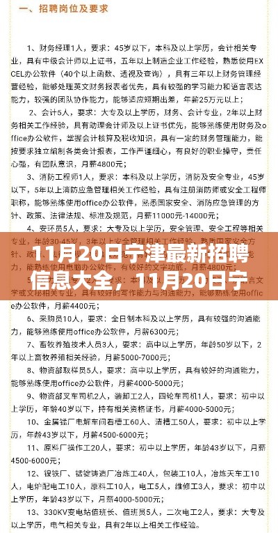 11月20日寧津最新招聘信息匯總，全面解讀招聘平臺特性與體驗