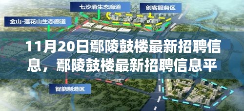 11月20日鄢陵鼓樓最新招聘信息及平臺深度評測，特性、體驗(yàn)與用戶洞察