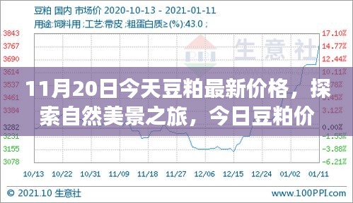 啟程尋找內(nèi)心平和，今日豆粕最新價(jià)格與自然美景之旅的寧靜故事