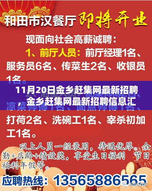 11月20日金鄉(xiāng)趕集網(wǎng)最新招聘匯總，熱點崗位解析與招聘信息