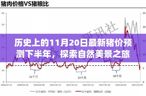 歷史上的11月20日豬價(jià)預(yù)測(cè)與心靈寧?kù)o尋覓之旅，自然美景探索