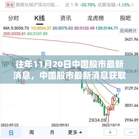 往年11月20日中國股市動態(tài)解析，獲取最新消息指南及初學(xué)者進(jìn)階技巧