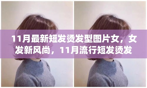 11月流行女發(fā)短燙發(fā)，全新風(fēng)尚與全攻略圖片欣賞