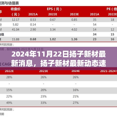 2024年11月22日揚子新材最新消息，揚子新材最新動態(tài)速遞，2024年11月22日的三大看點