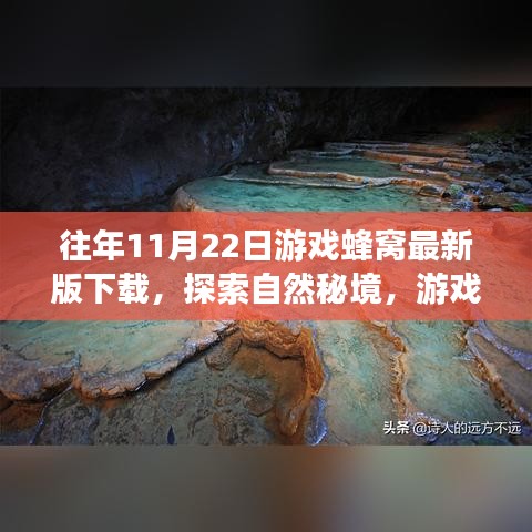 游戲蜂窩帶你探索自然秘境，最新下載，心靈平靜之旅