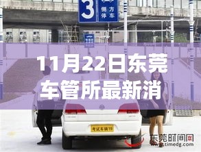 東莞車管所溫馨日常，趣事與陪伴的特別記錄（11月22日最新消息）