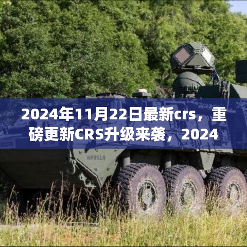 重磅更新CRS升級來襲，解讀最新政策與應對策略，2024年CRS新動向解析