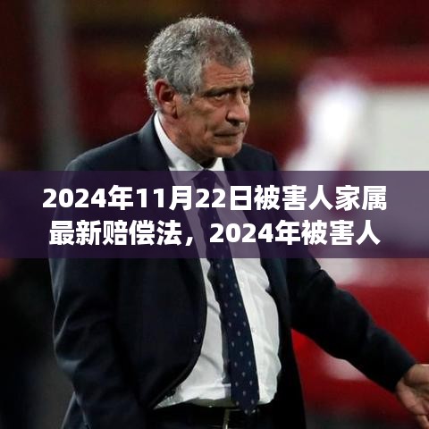 深度解讀2024年被害人家屬賠償法，背景、進(jìn)展與影響