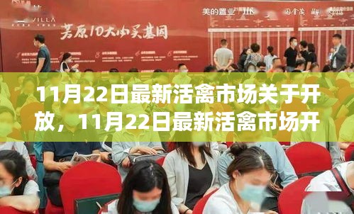 11月22日活禽市場開放動態(tài)，復(fù)蘇與機遇的挑戰(zhàn)