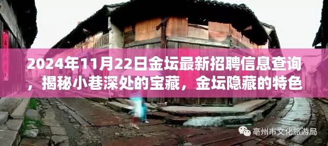 揭秘金壇隱藏特色小店與最新招聘信息奇遇記，2024年11月22日金壇招聘信息深度查詢