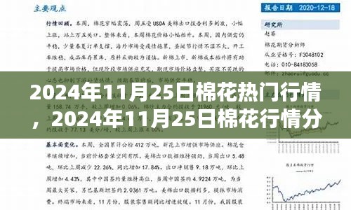 棉花行情深度解析，從入門到精通——2024年11月25日棉花行情指南