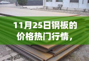 11月25日鋼板價(jià)格行情深度解析，市場(chǎng)波動(dòng)與多方觀點(diǎn)透視