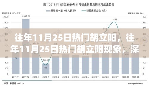 深度解析與觀點(diǎn)闡述，胡立陽(yáng)現(xiàn)象——?dú)v年11月25日的熱門(mén)焦點(diǎn)