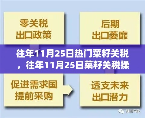 往年11月25日菜籽關稅操作詳解，入門到精通的步驟指南