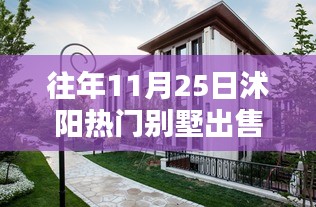 沭陽智能別墅，科技重塑居住品質(zhì)，未來居住新體驗熱賣中