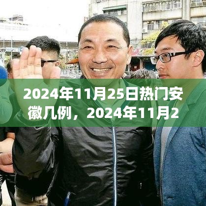 2024年11月25日安徽疫情最新熱點解讀，病例數量及防控措施