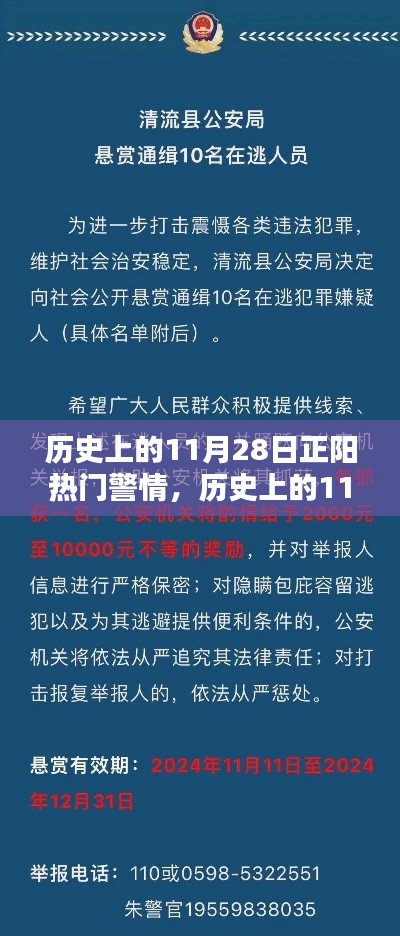 歷史上的11月28日正陽熱門警情揭秘??