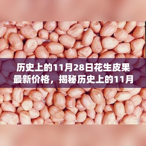 全方位解析，歷史上的11月28日花生皮果最新價(jià)格獲取與解讀步驟指南