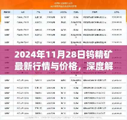 深度解析，2024年11月28日鎢精礦最新行情與價(jià)格展望