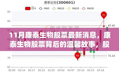 康泰生物股票最新動態(tài)，股市背后的友情交響與溫馨故事揭秘