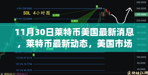 萊特幣美國最新動態(tài)分析，市場趨勢下的正反觀點探討（11月30日）