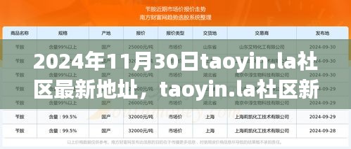 2024年11月30日taoyin.la社區(qū)新址展望，機(jī)遇與挑戰(zhàn)并存