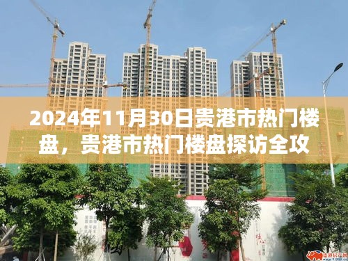 貴港市熱門樓盤探訪全攻略，購(gòu)房指南（2024年11月30日）