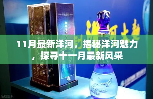 揭秘洋河魅力，十一月最新風(fēng)采展示