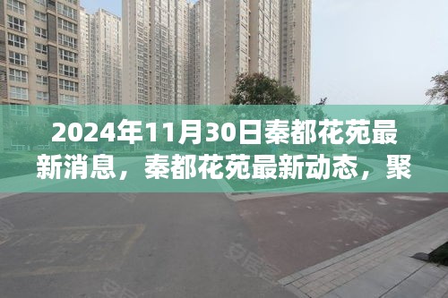 秦都花苑最新動態(tài)揭曉，2024年11月30日的最新消息與觀點爭議聚焦